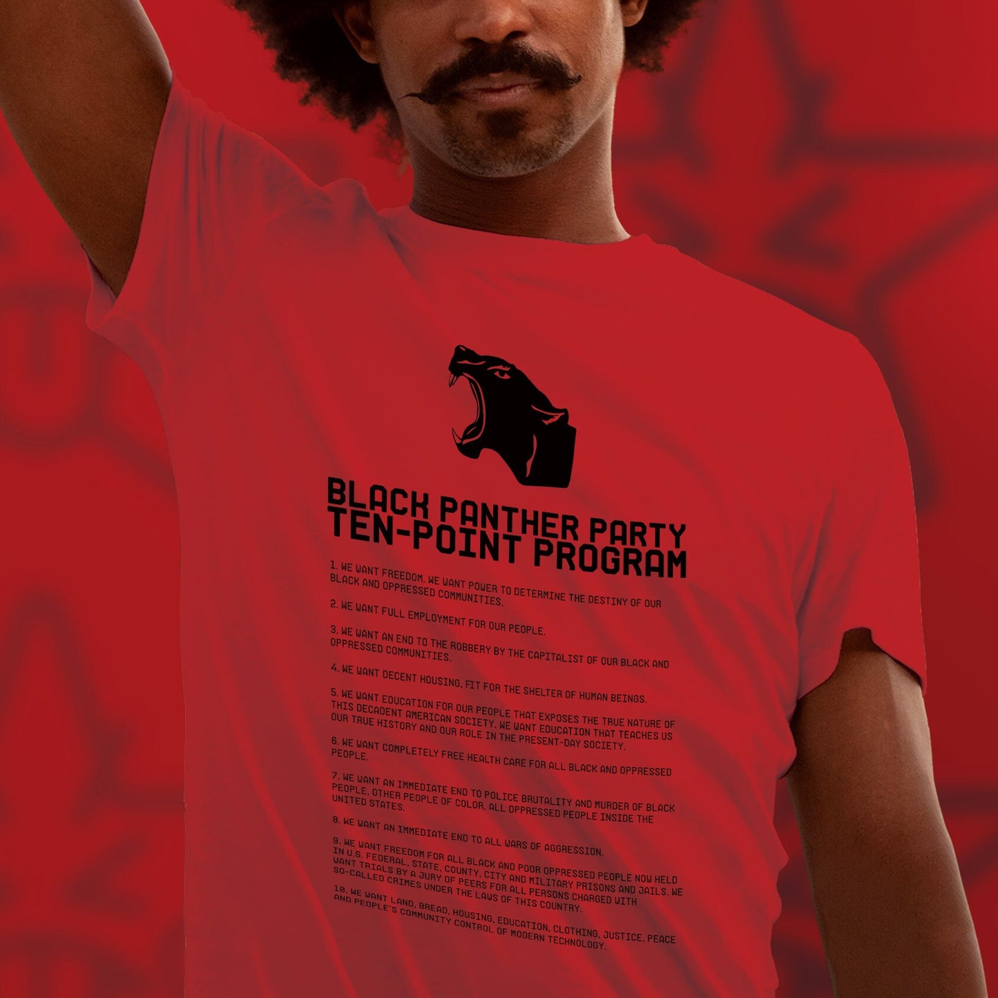 Black Panther Shirt Fred Hampton Shirt BLM Black Lives Matter TShirt Civil Rights t-Shirt Black History Shirt Feminist for Social Justice