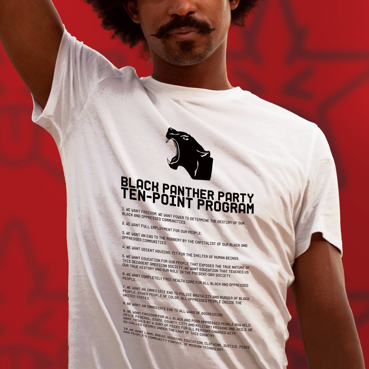 Black Panther Shirt Fred Hampton Shirt BLM Black Lives Matter TShirt Civil Rights t-Shirt Black History Shirt Feminist for Social Justice